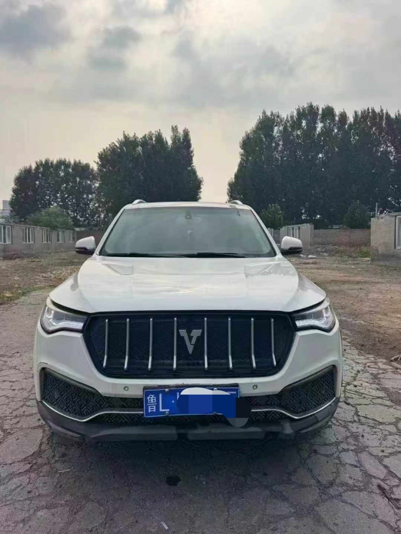 鹤壁18年众泰T8001