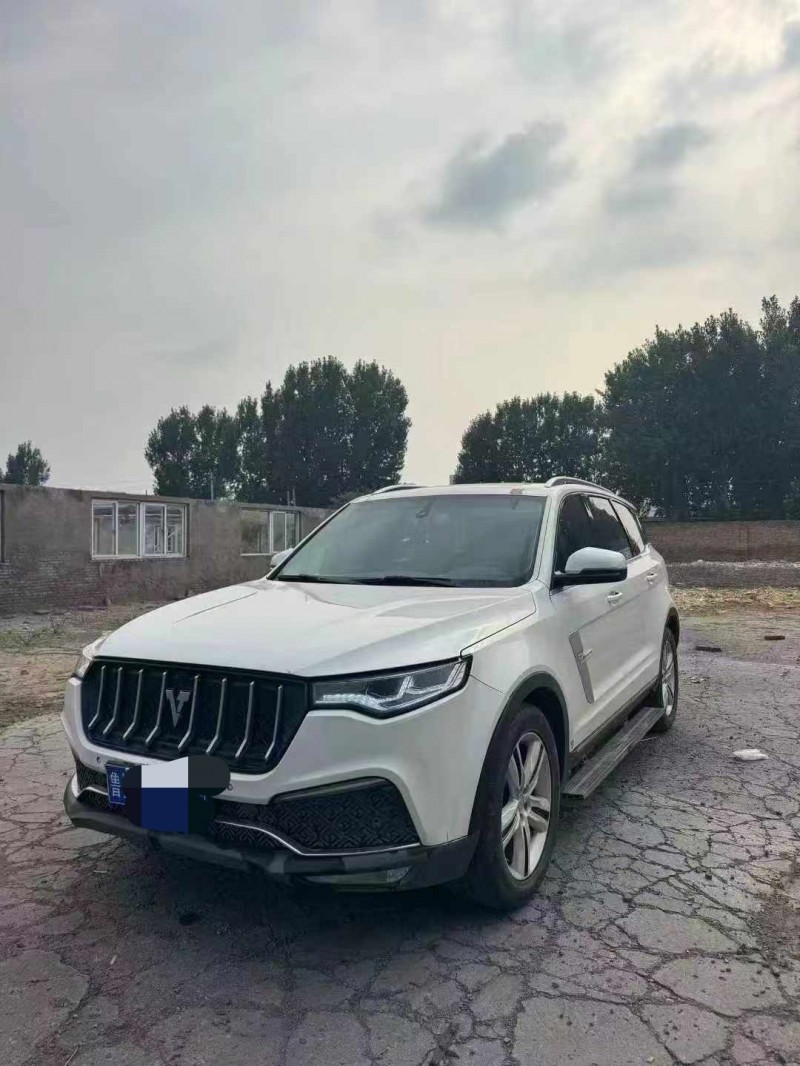 鹤壁18年众泰T8002