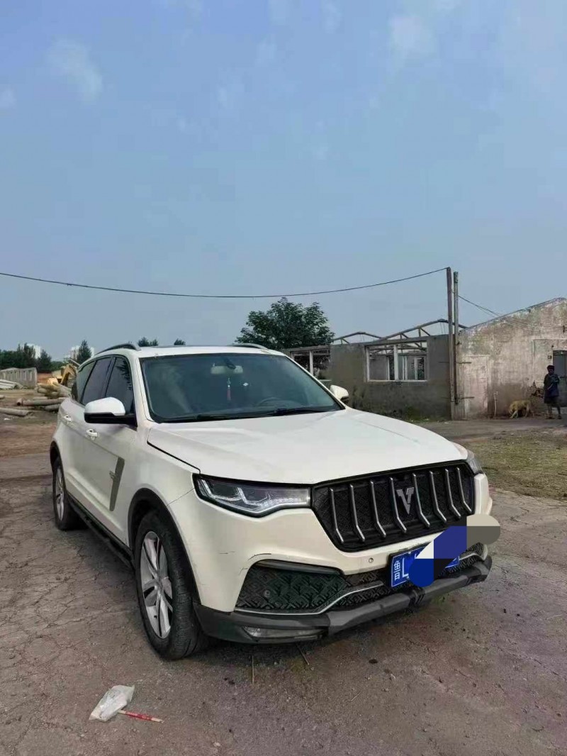 鹤壁18年众泰T8003