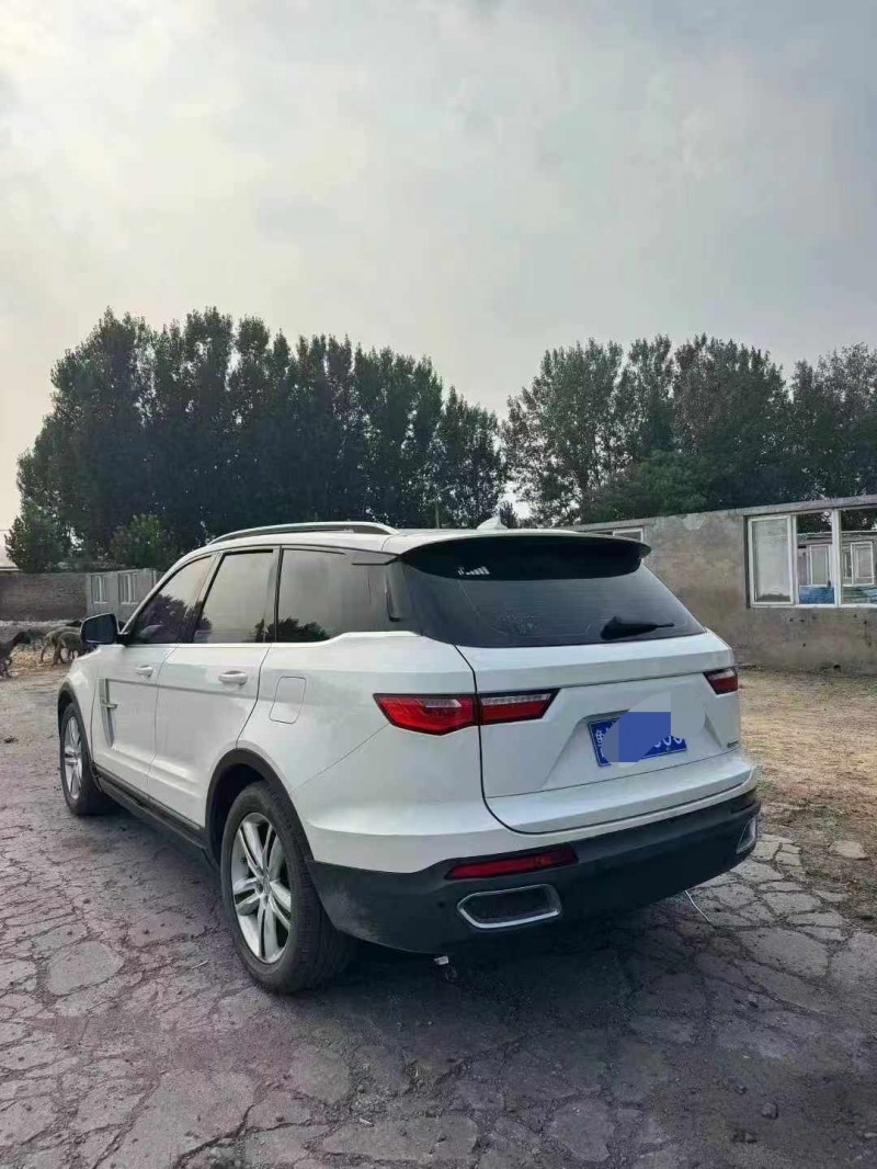 鹤壁18年众泰T8004