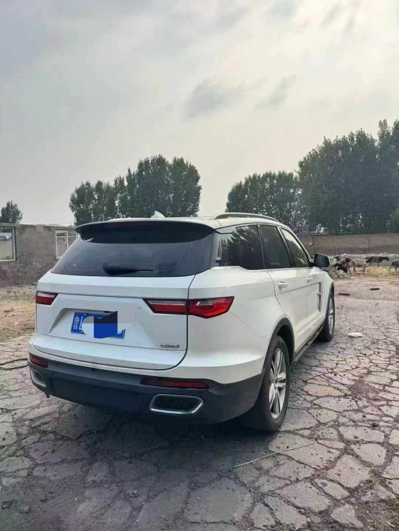 鹤壁18年众泰T8006