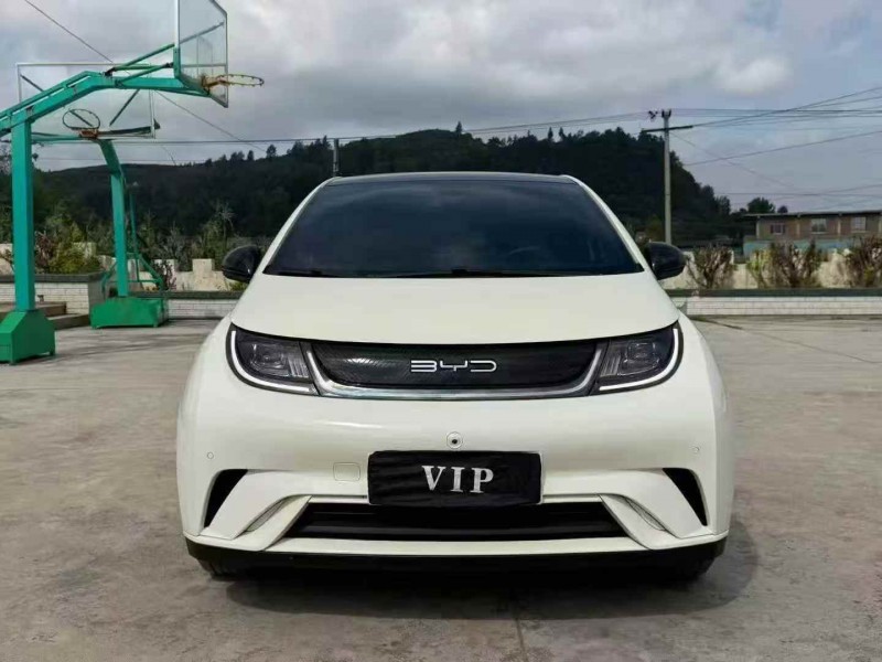 毕节23年比亚迪海豚1