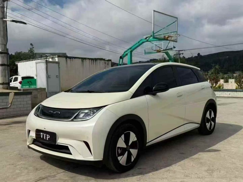 毕节23年比亚迪海豚2