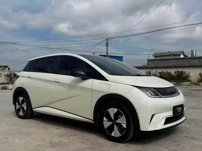 毕节23年比亚迪海豚3