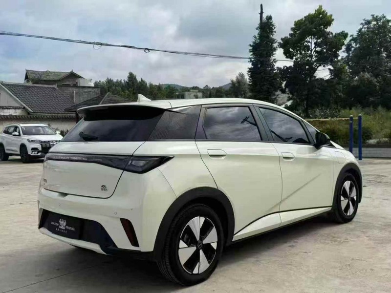 毕节23年比亚迪海豚7