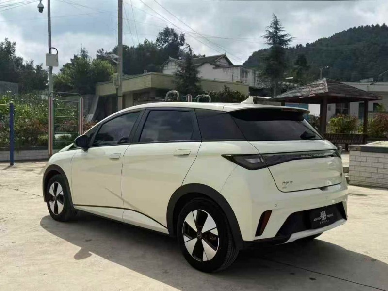 毕节23年比亚迪海豚8