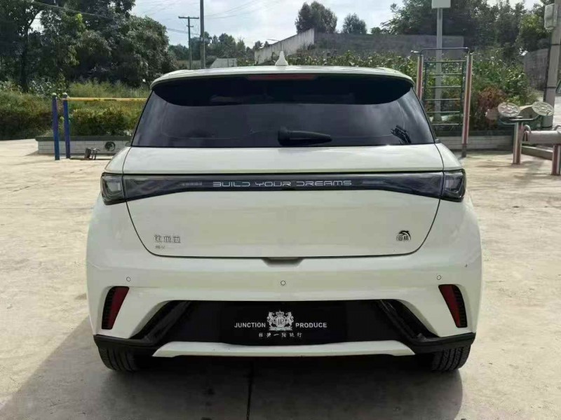 毕节23年比亚迪海豚9