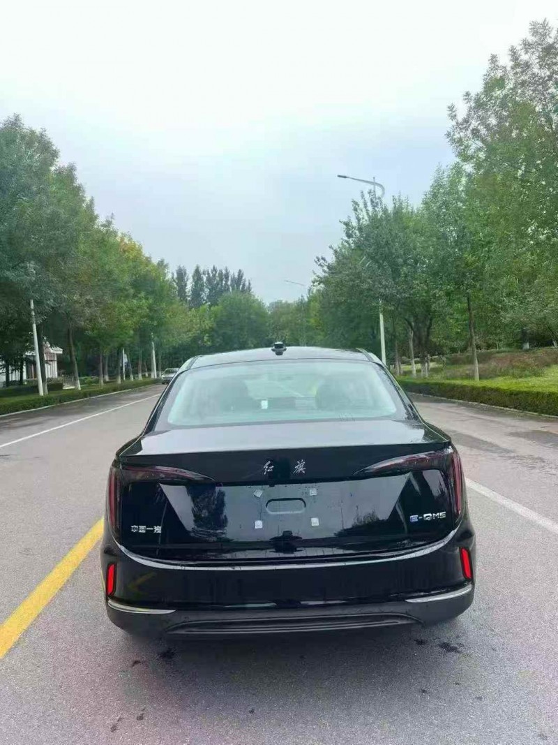 泰安25年红旗E-QM59