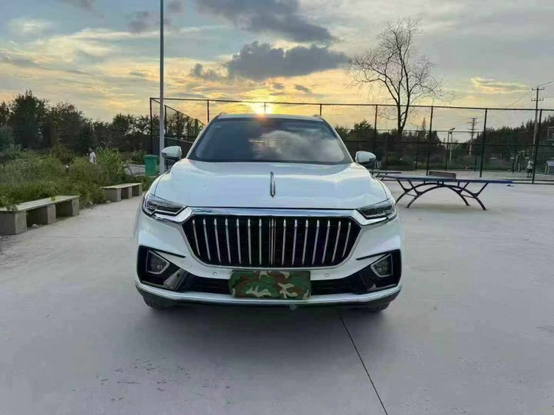 徐州20年红旗HS51