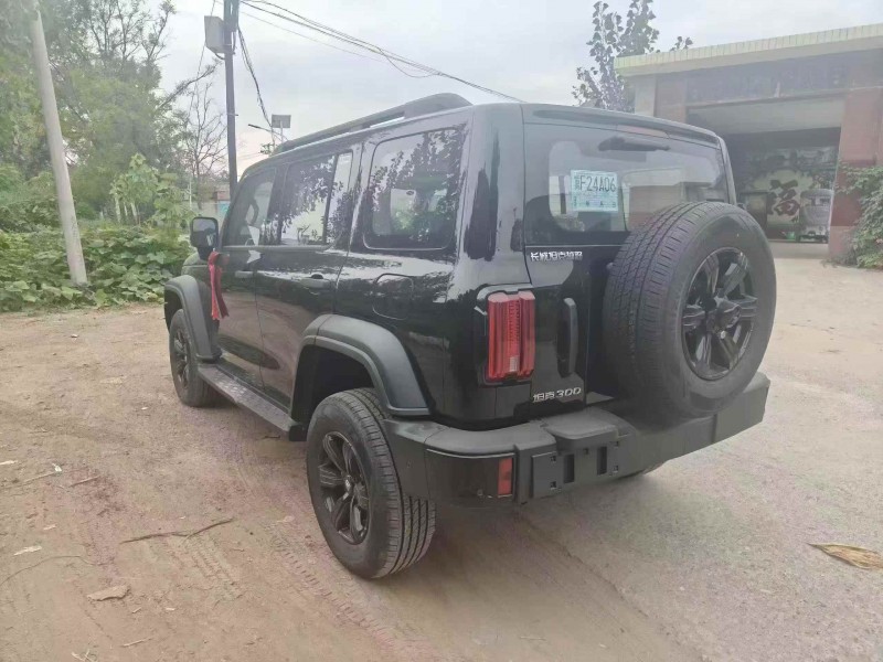 邢台25年长城汽车坦克7