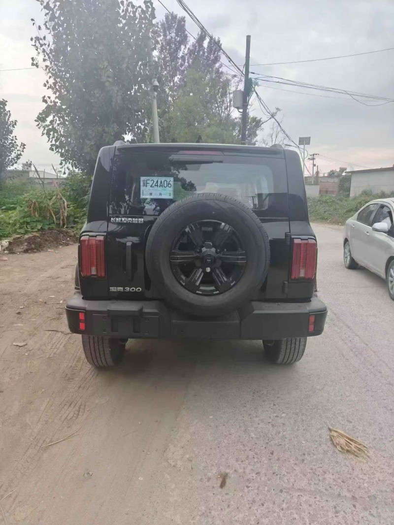 邢台25年长城汽车坦克8