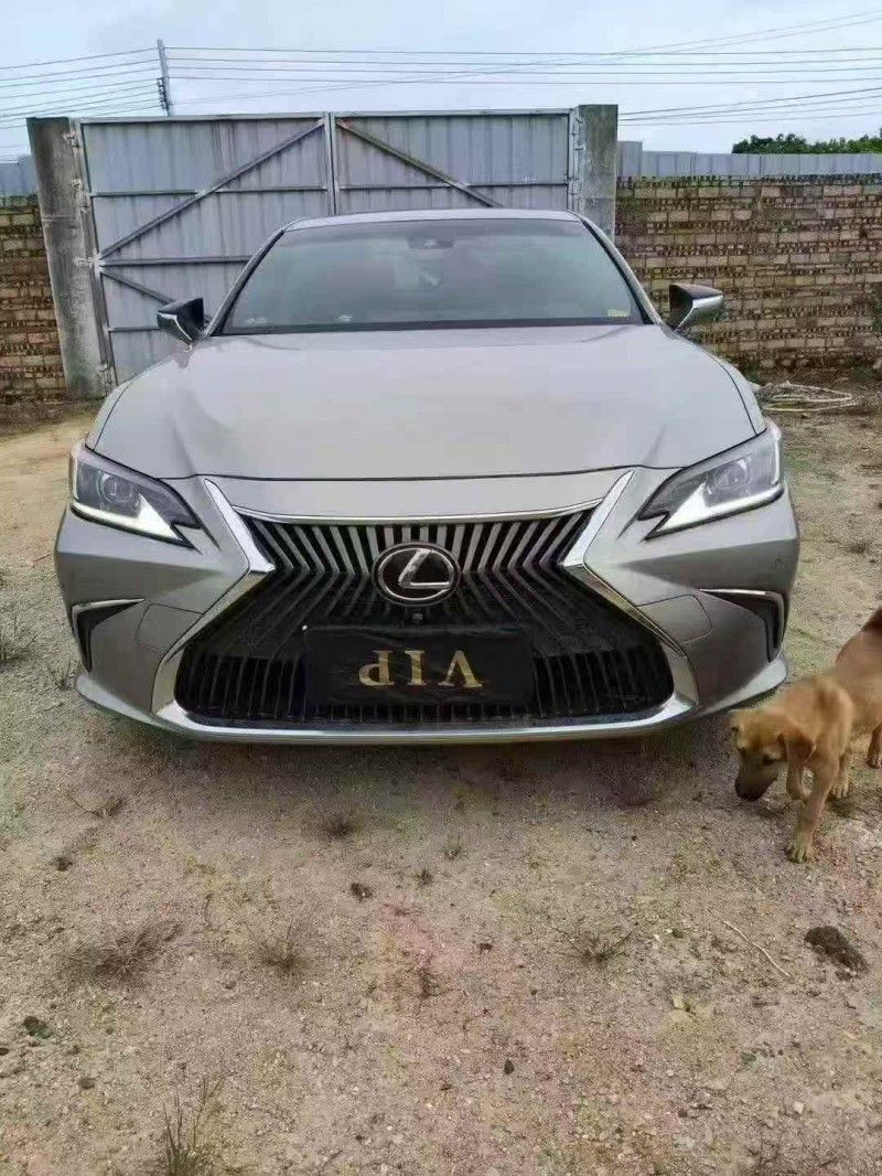 江门19年雷克萨斯ES1