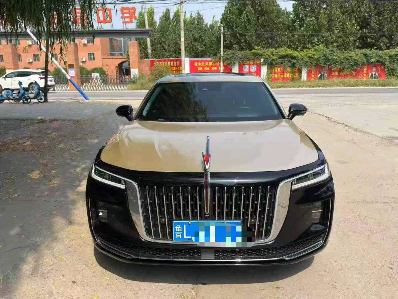 保定21年红旗H91