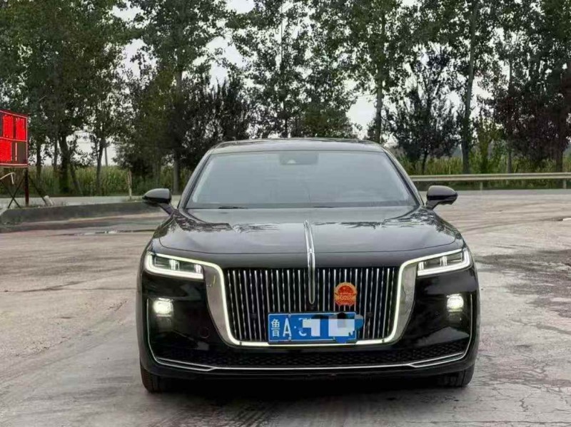 日照21年红旗H91