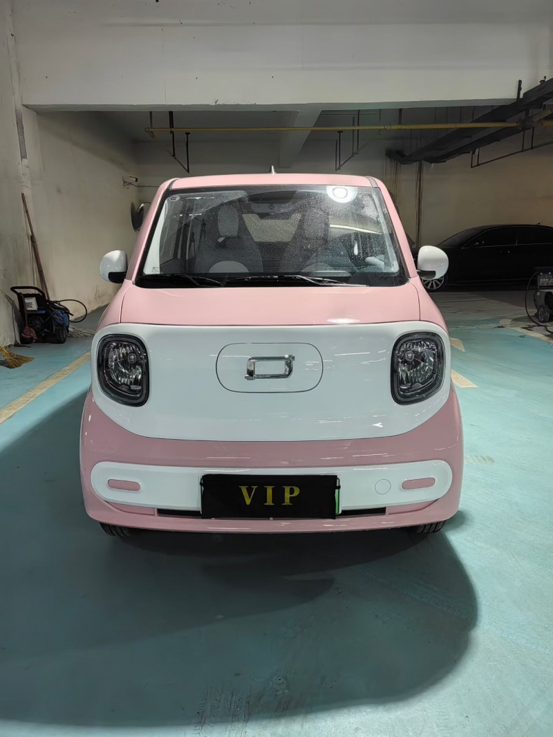 襄阳24年奔腾小马1