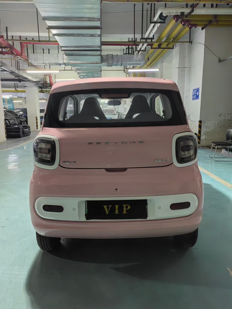 襄阳24年奔腾小马8