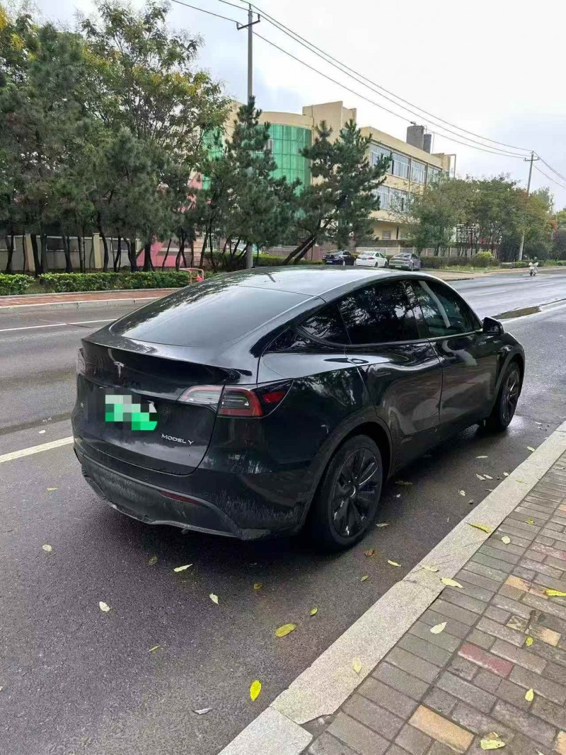 潍坊24年特斯拉MODEL Y8