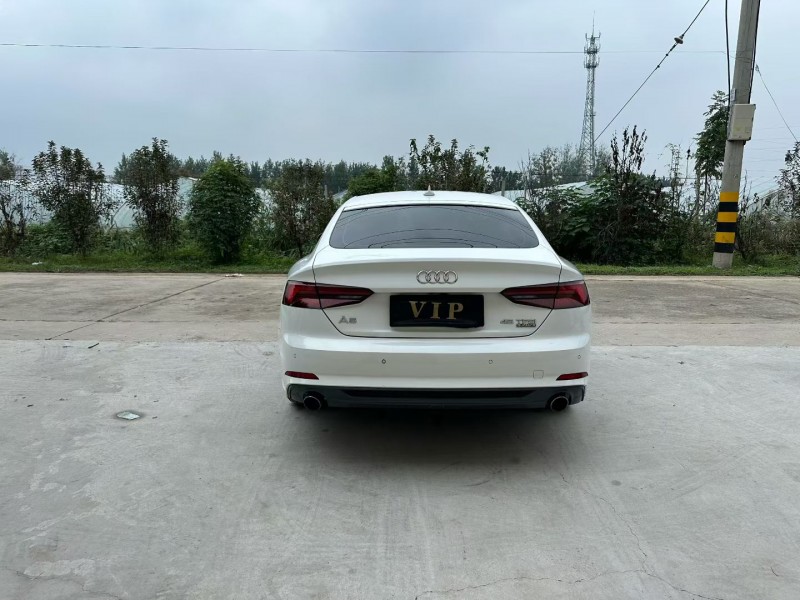 徐州22年奥迪A59