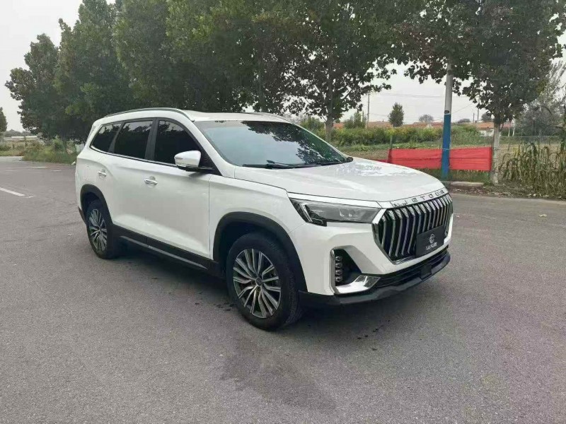 东营24年奇瑞捷途2