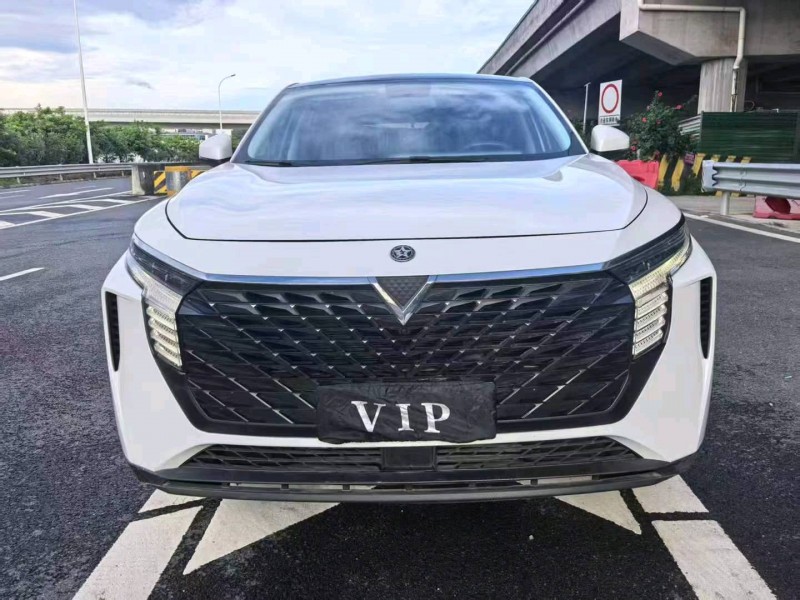 广州22年启辰大V1