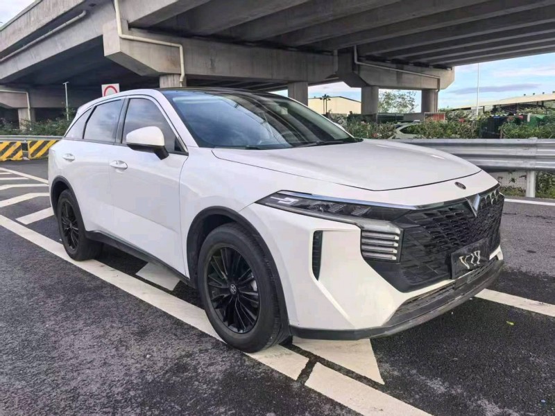 广州22年启辰大V2