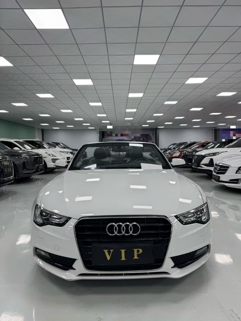 廊坊15年奥迪A51