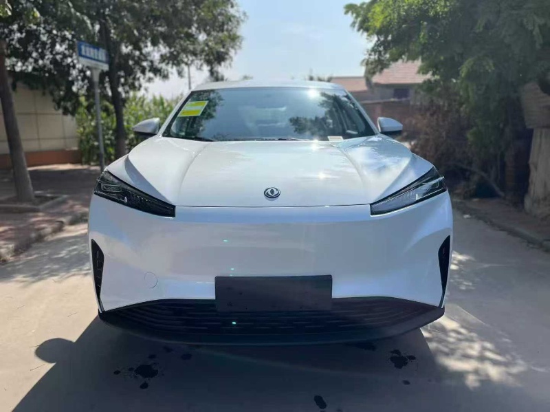 天津25年东风风神1