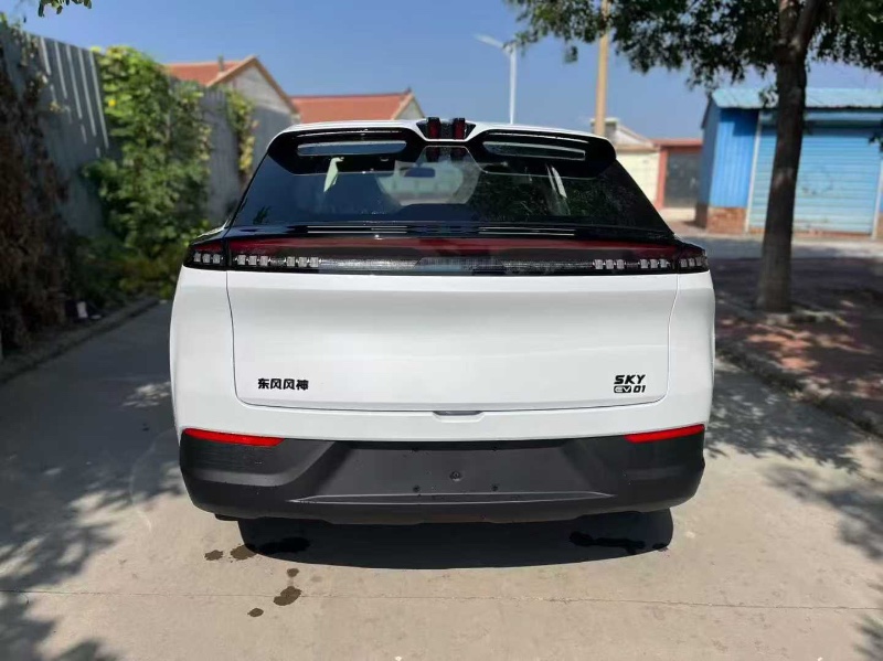 天津25年东风风神8