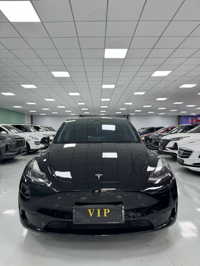 廊坊22年特斯拉MODEL Y1