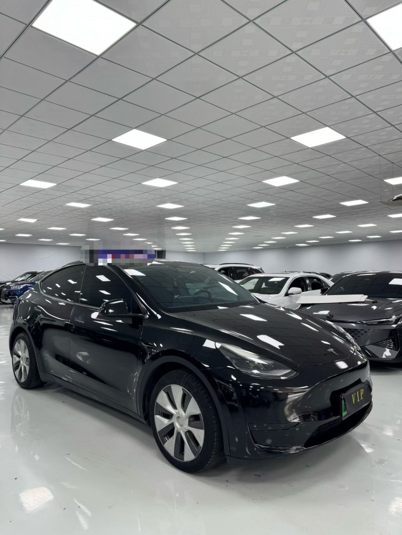 廊坊22年特斯拉MODEL Y3