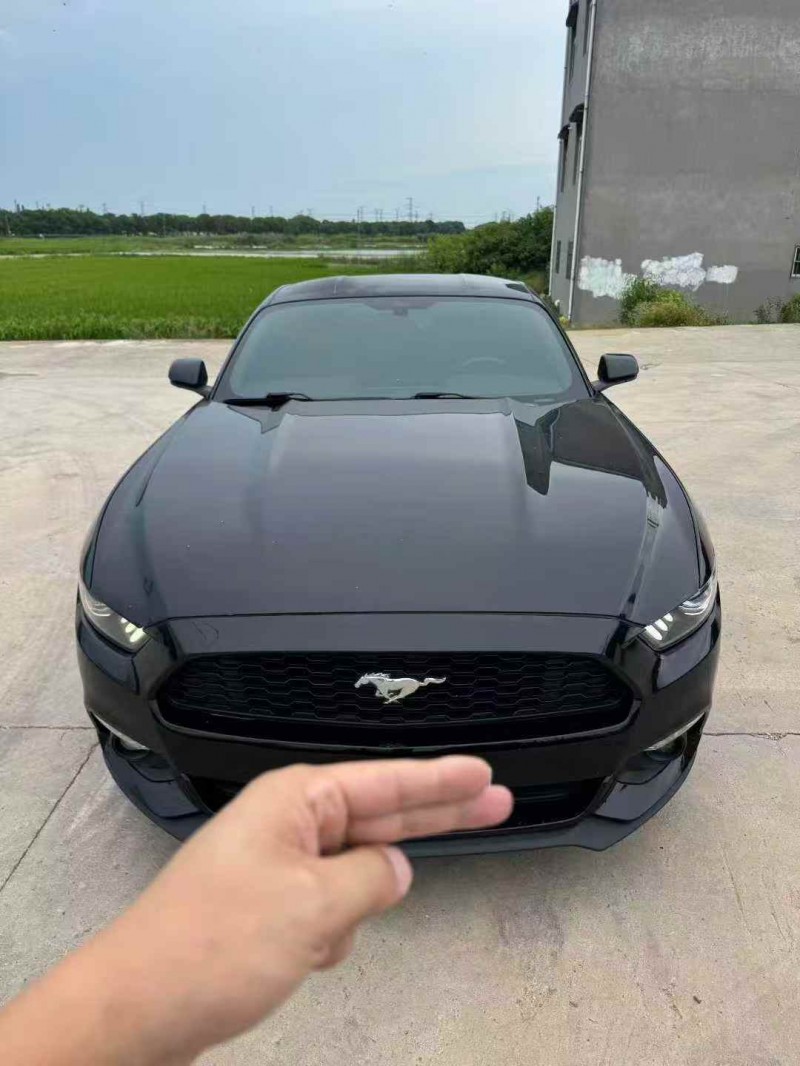 常州18年福特野马1