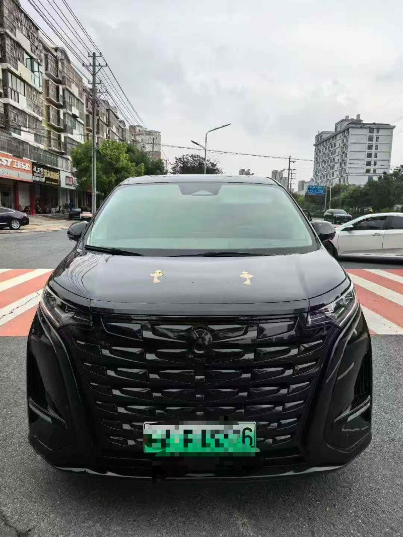 淮南24年腾势D91