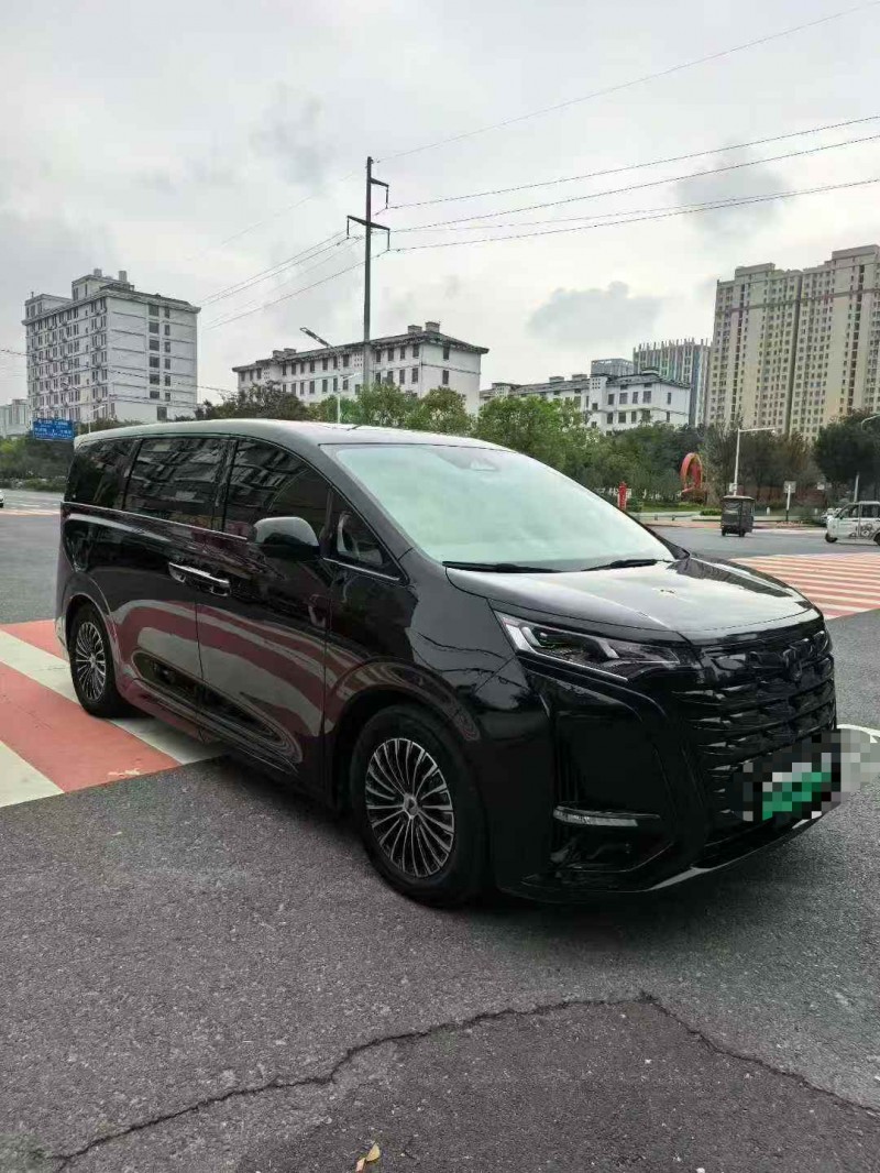 淮南24年腾势D93