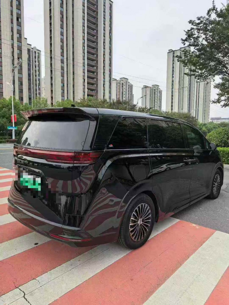 淮南24年腾势D98