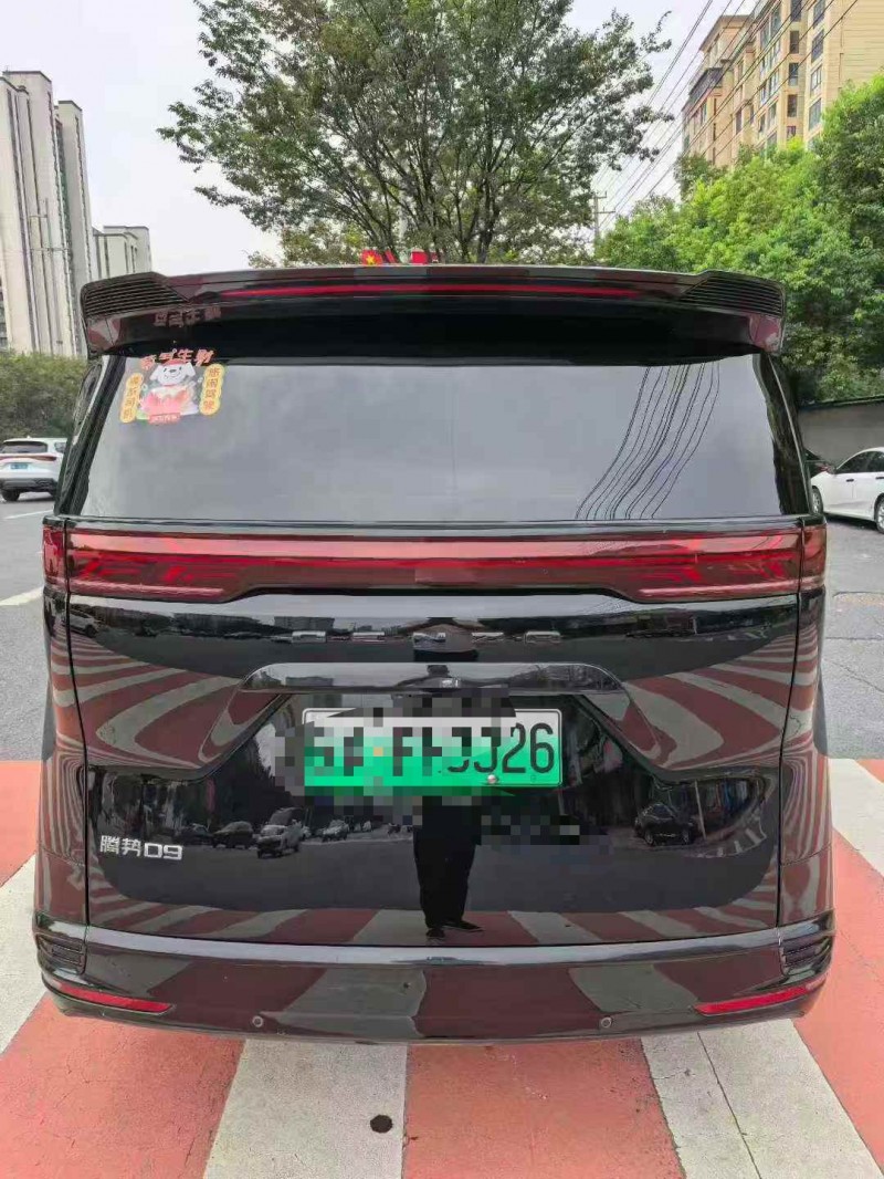 淮南24年腾势D99