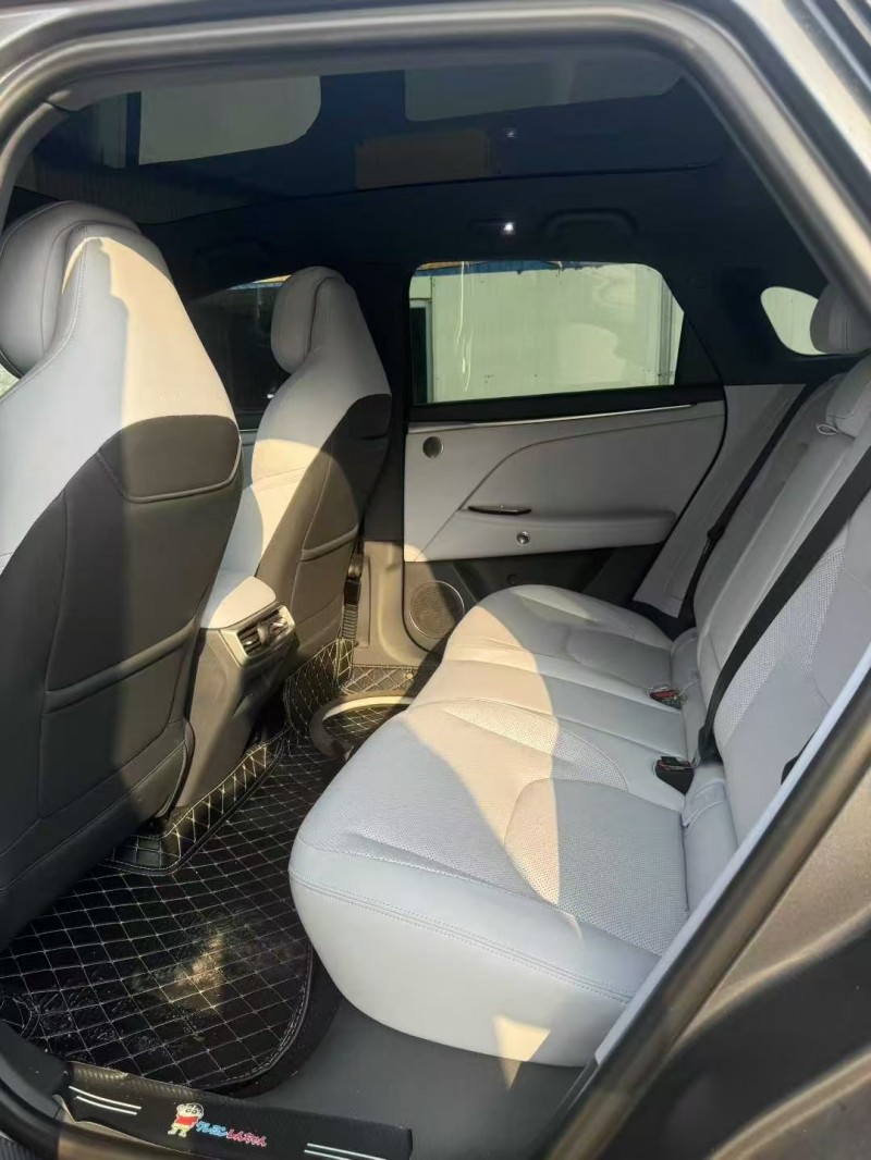 淄博24年极狐汽车阿尔法3