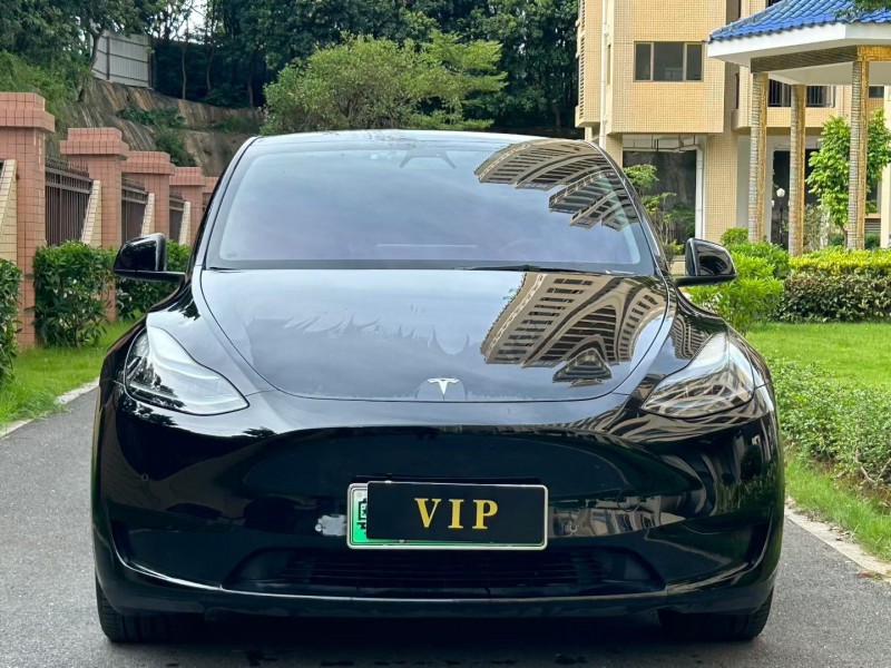 东莞23年特斯拉MODEL Y1