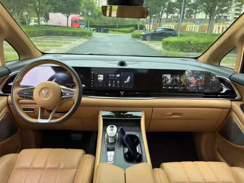 常州24年岚图汽车梦想家5