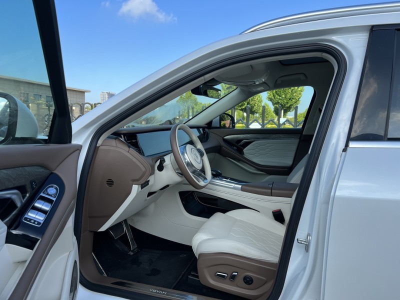 盐城21年岚图汽车FREE4