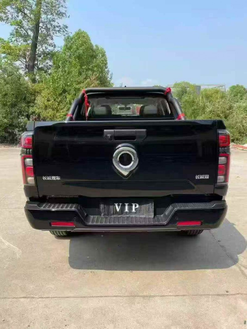 襄阳25年长城汽车炮 皮卡9