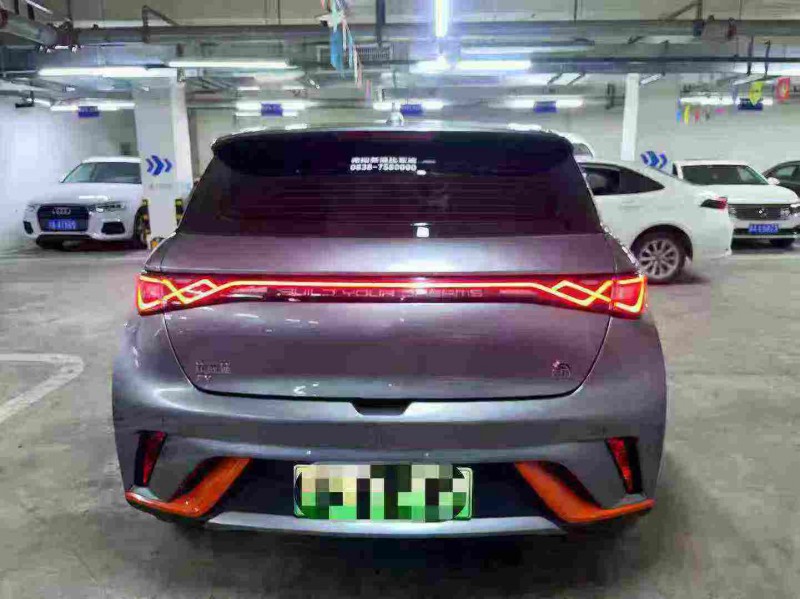 成都24年比亚迪海豚9