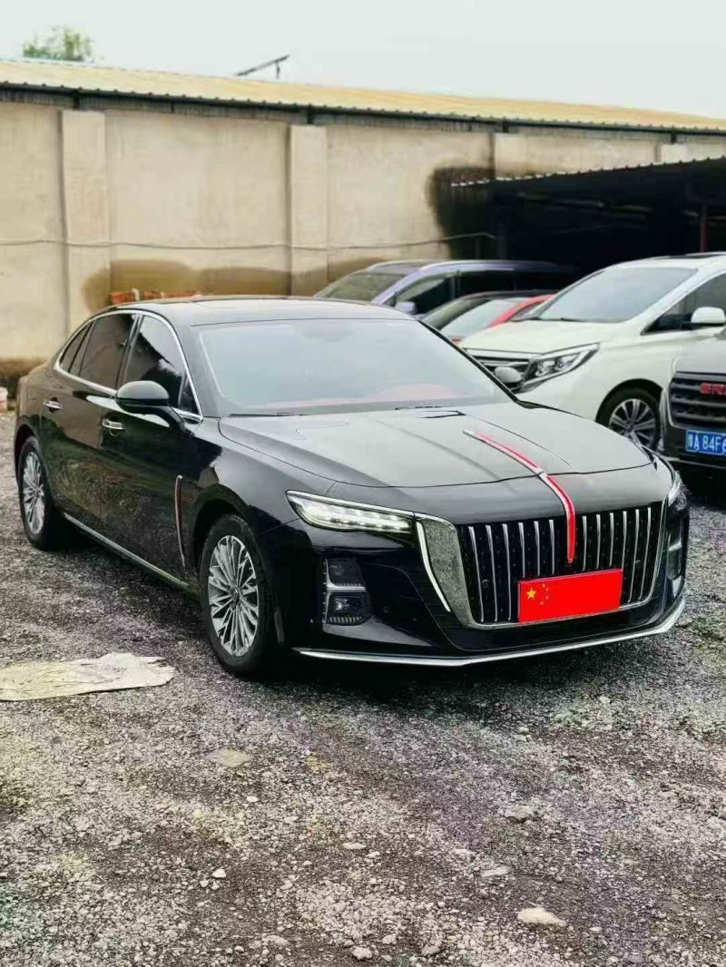 平顶山24年红旗H52