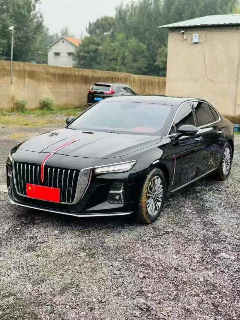 平顶山24年红旗H53