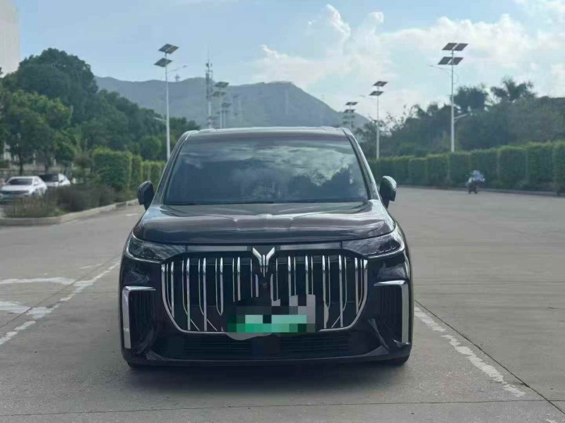 莆田24年岚图汽车梦想家1