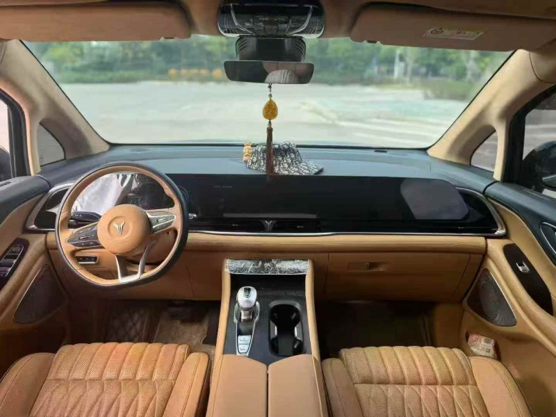 莆田24年岚图汽车梦想家5