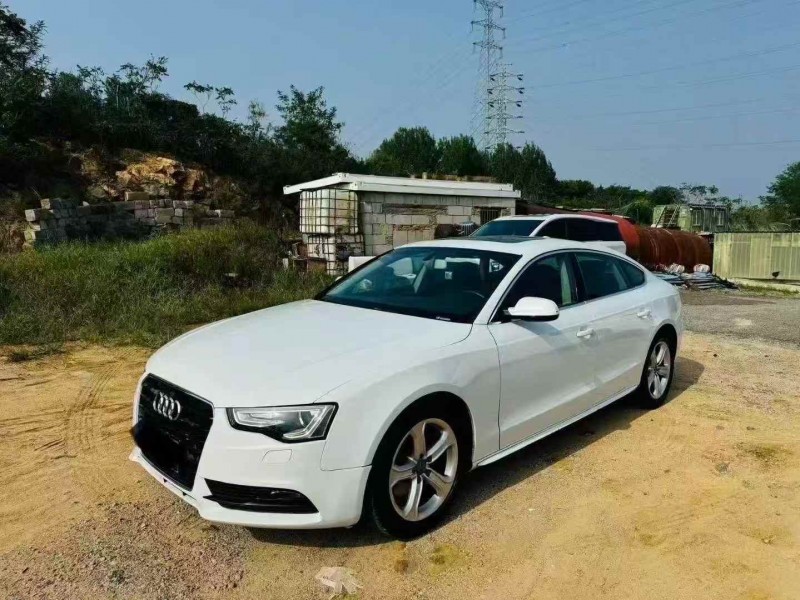 日照15年奥迪A52