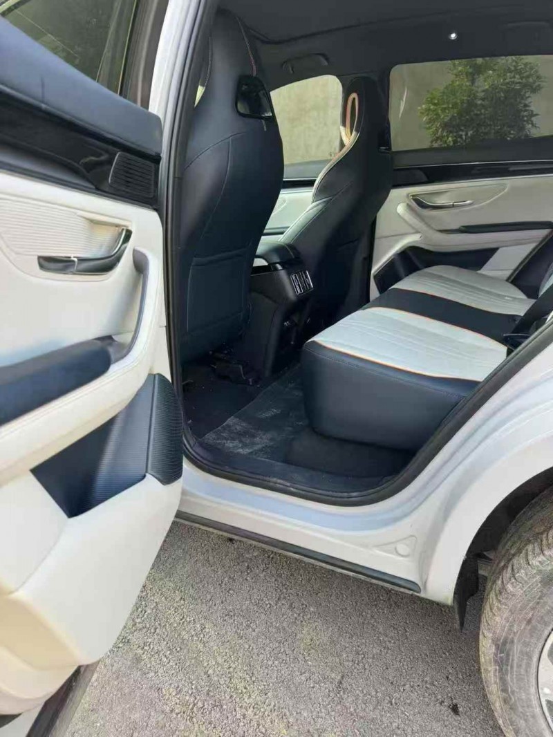 马鞍山24年比亚迪宋5