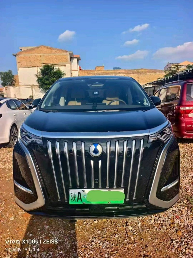 西安24年腾势D91