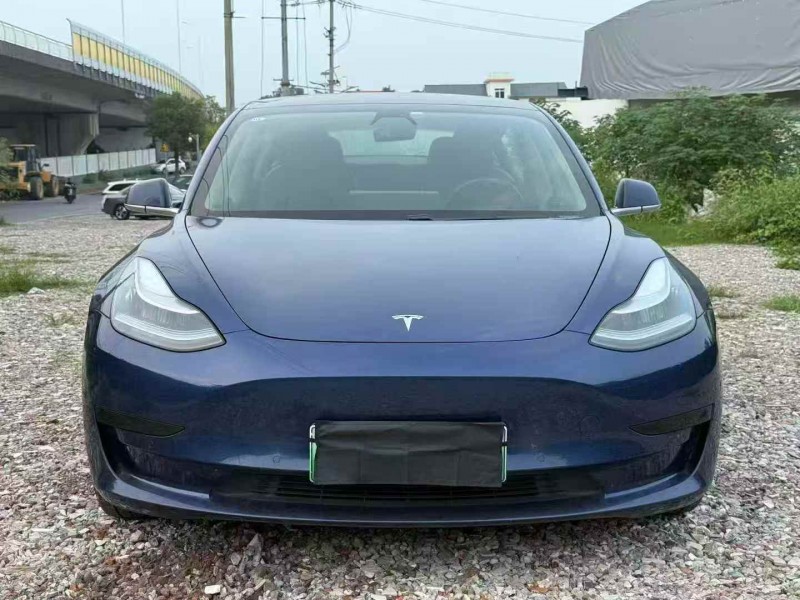 衡阳20年特斯拉MODEL 31