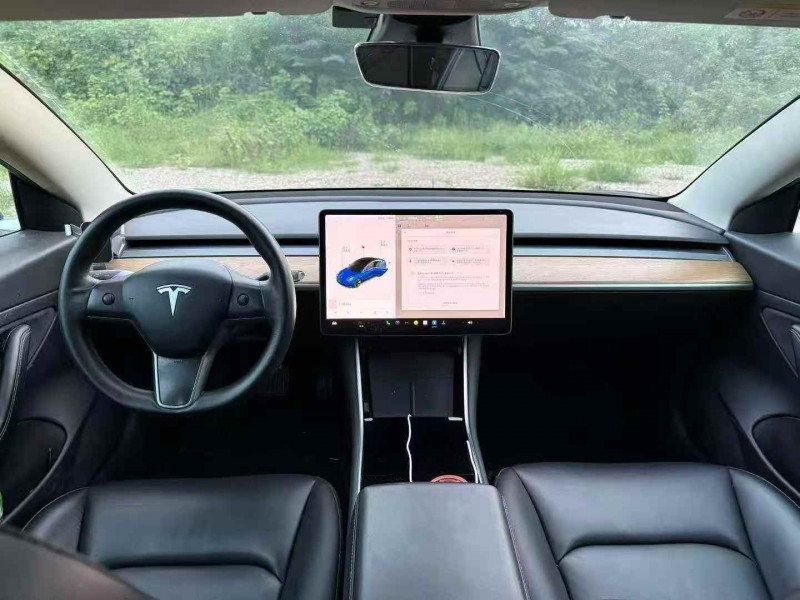 衡阳20年特斯拉MODEL 36